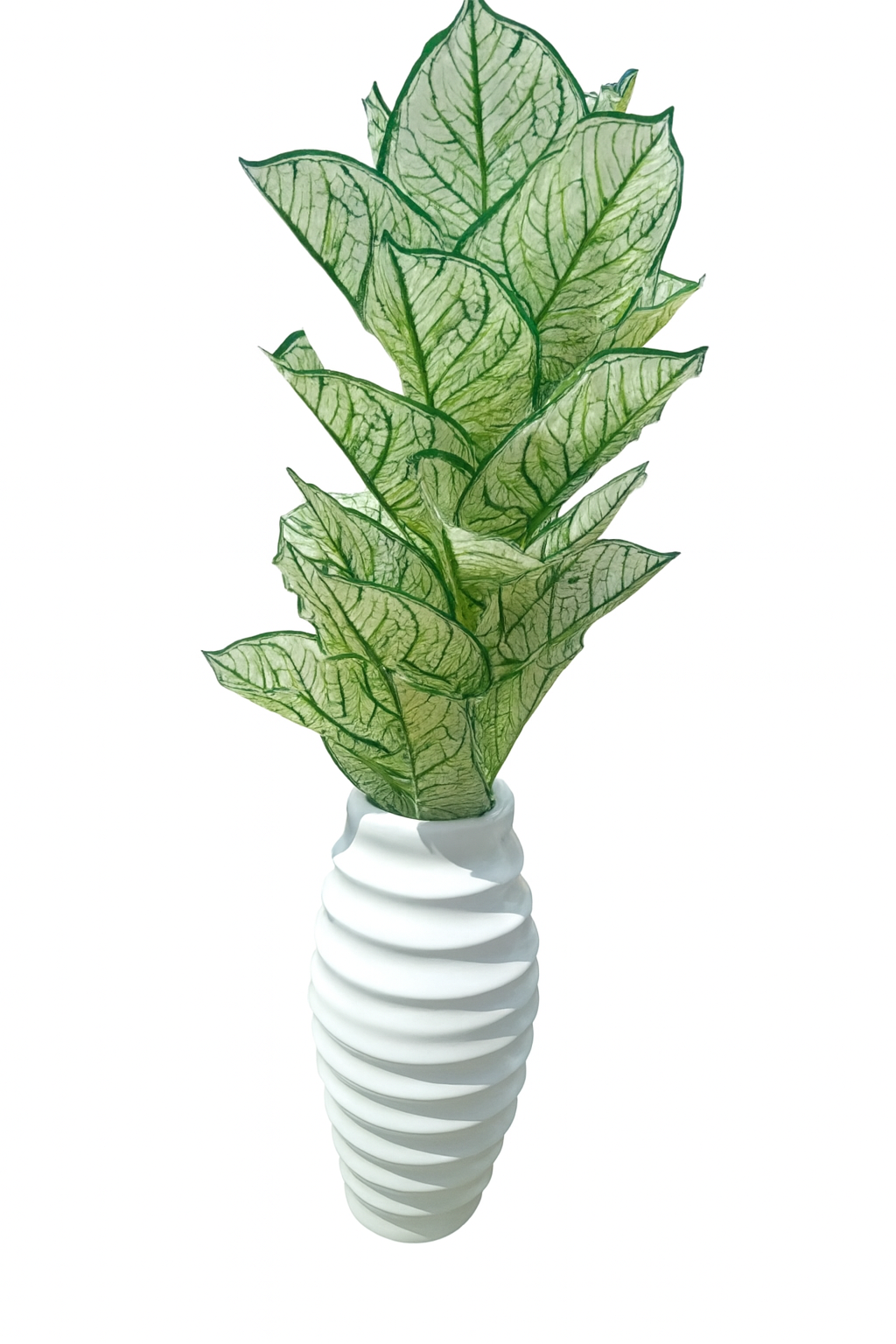 Emerald Vein Caladium in Spiral White Vase