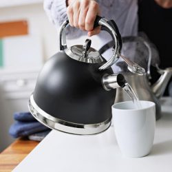 Whistling kettle 4 liter